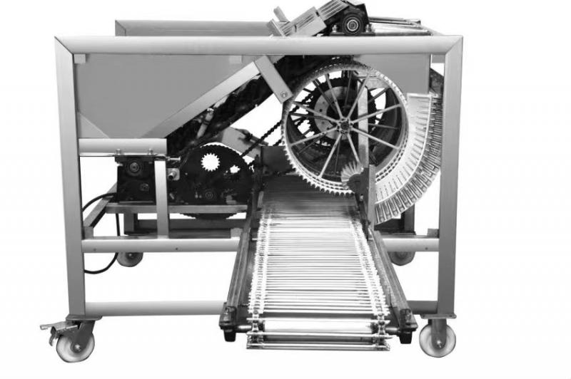 核桃去青皮機(jī)大型【八孔】（HF-5T-A型）