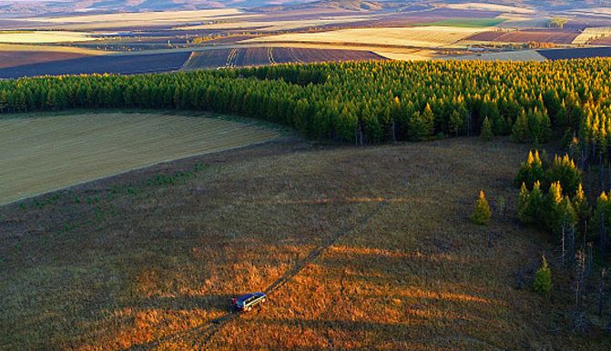 阿克蘇市林業(yè)和草原局